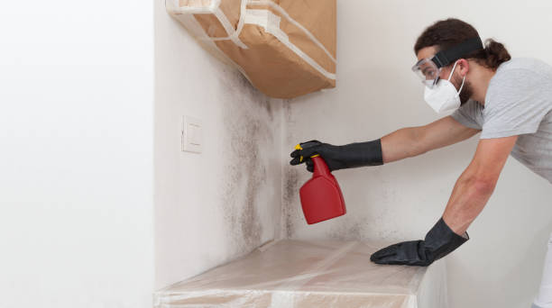 Professional Basement Mold Remediation technician working in Gardners, PA